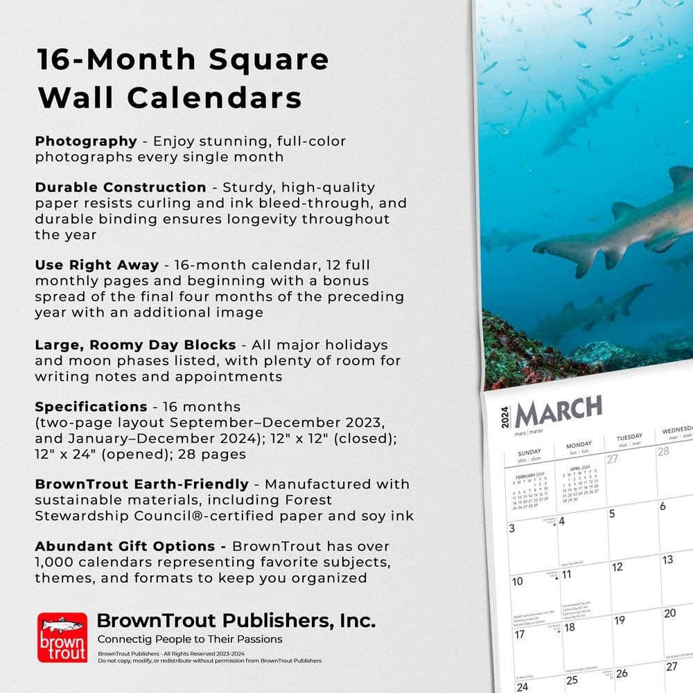 Sharks 2024 Wall Calendar