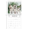 image Playful Puppies Photo 2025 Mini Wall Calendar