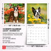 image Boston Terriers 2027 Wall Calendar Sixth Alternate Image
