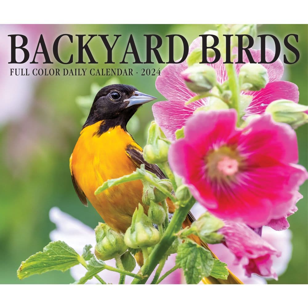 Backyard Birds 2024 Desk Calendar