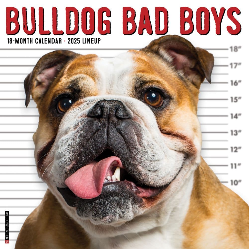 Just Bulldog Bad Boys 2025 Wall Calendar