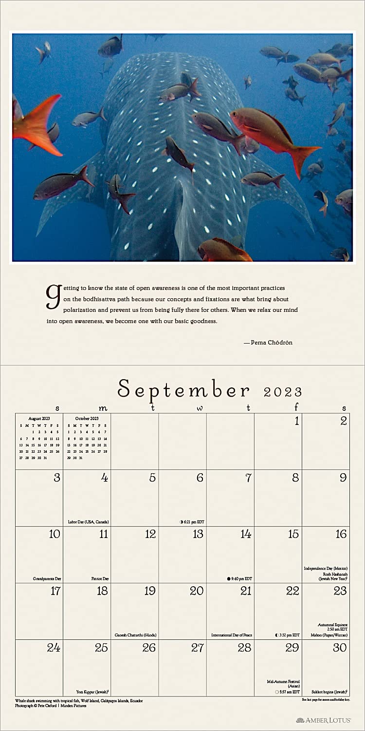 Pema Chodron 2023 Wall Calendar - Calendars.com