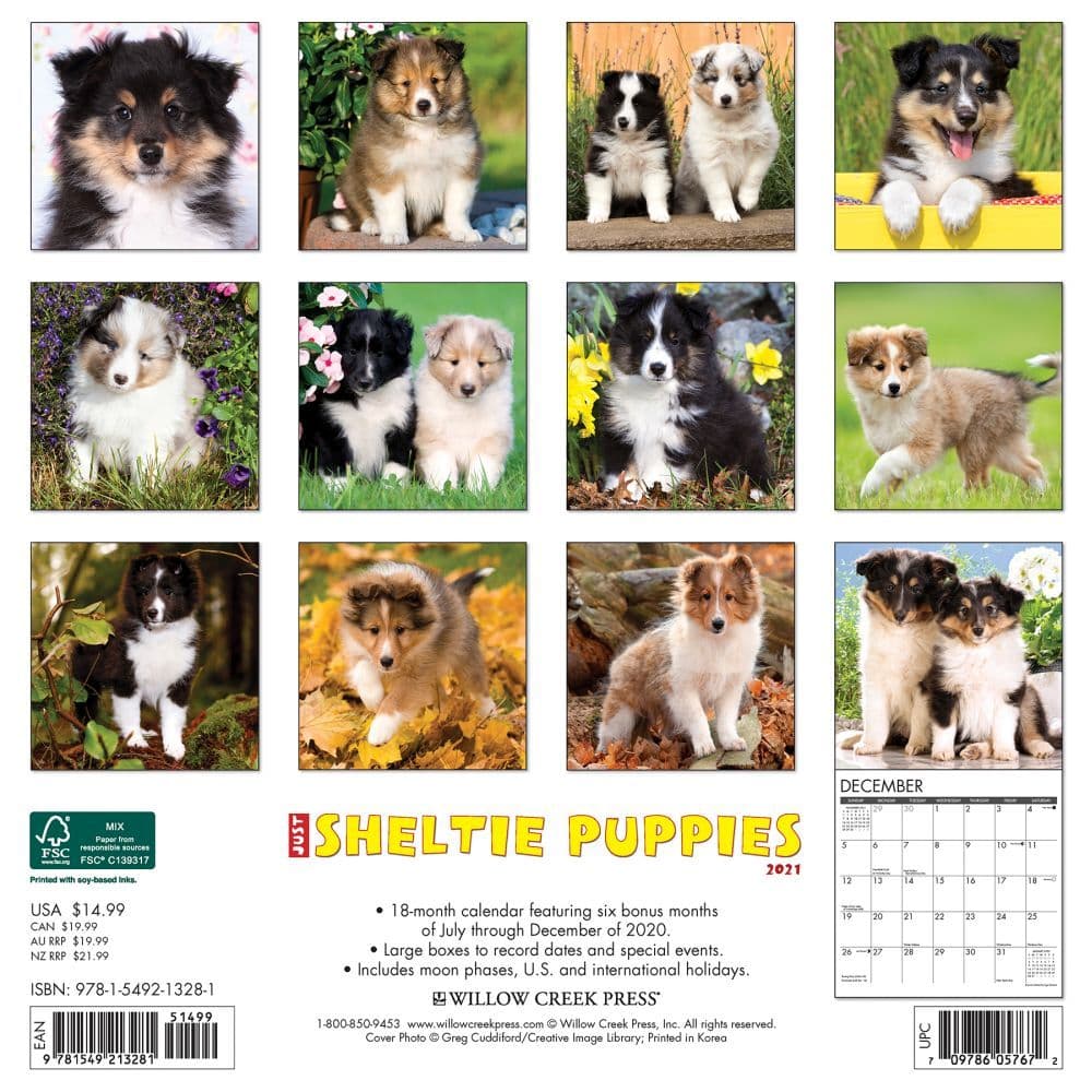 Just Sheltie Puppies Wall Calendar