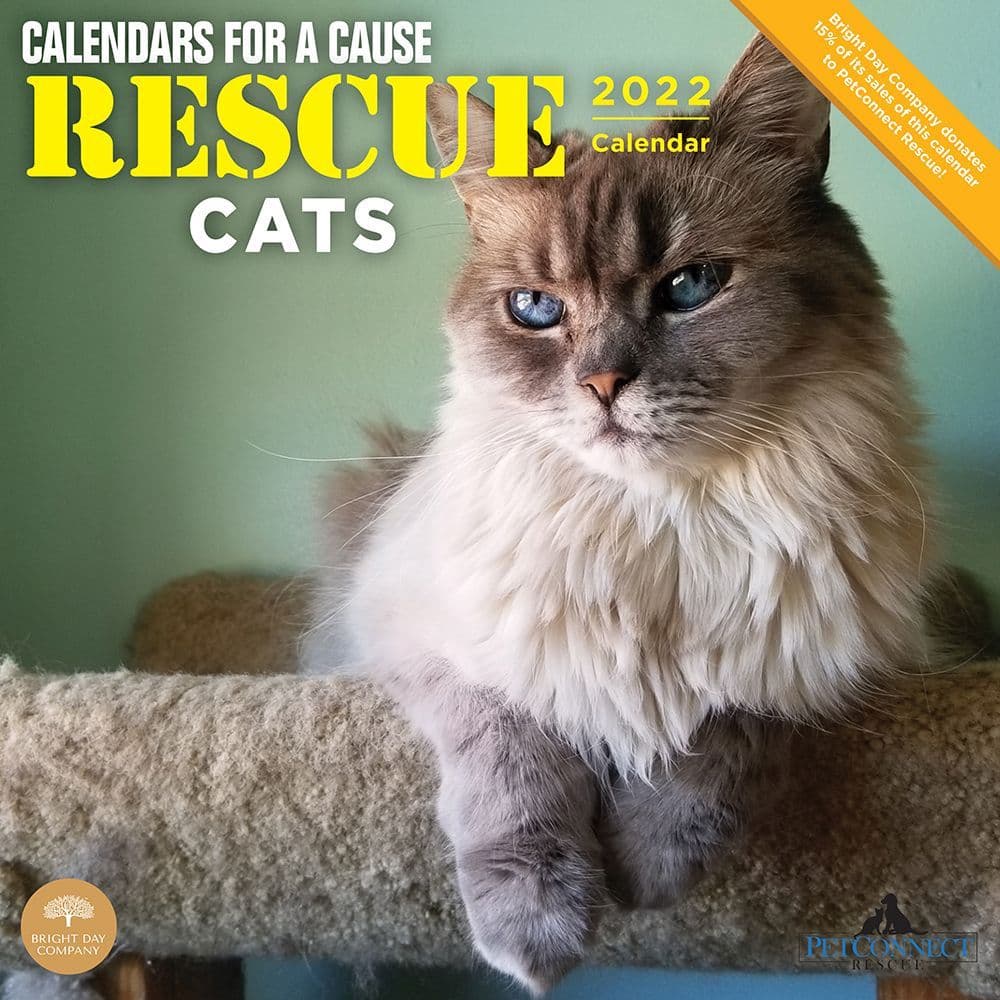 Rescue Cats 2022 Wall Calendar