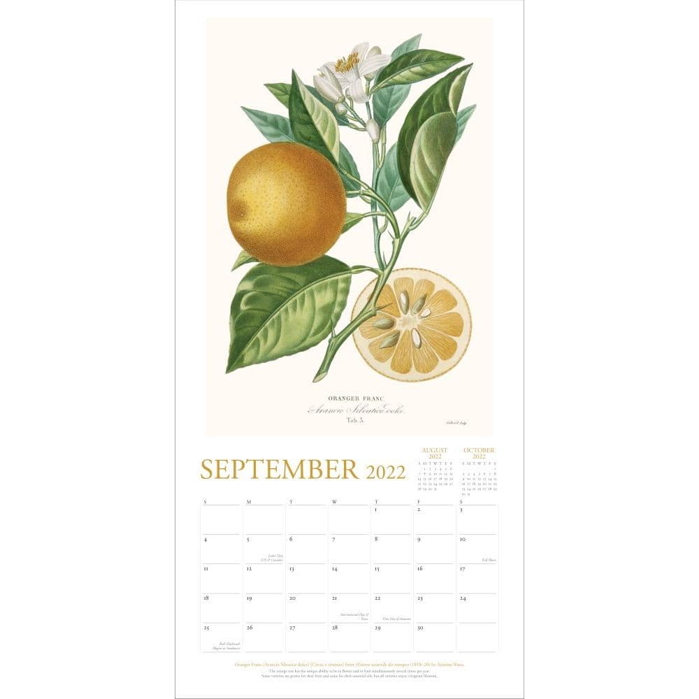 Myriad Gardens Christmas Schedule 2022 New York Botanical Garden 2022 Wall Calendar - Calendars.com