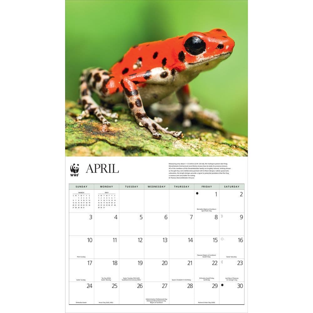 Frogs Wwf 2022 Wall Calendar - Calendars.com