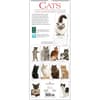 image Cats Vertical 2025 Wall Calendar First Alternate Image width=&quot;1000&quot; height=&quot;1000&quot;