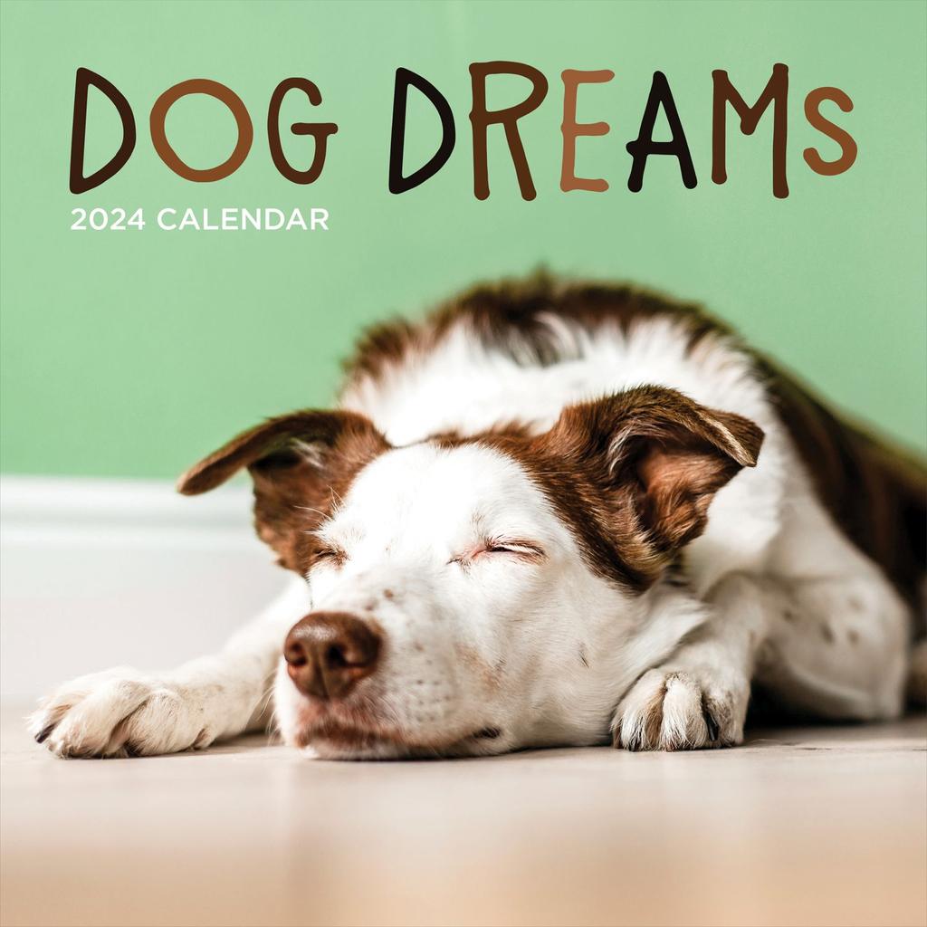 Dog Dreams 2024 Wall Calendar Main Image