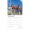 image Donkeys 2025 Wall Calendar Third Alternate Image