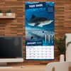 image Sharks Photo 2026 Wall Calendar