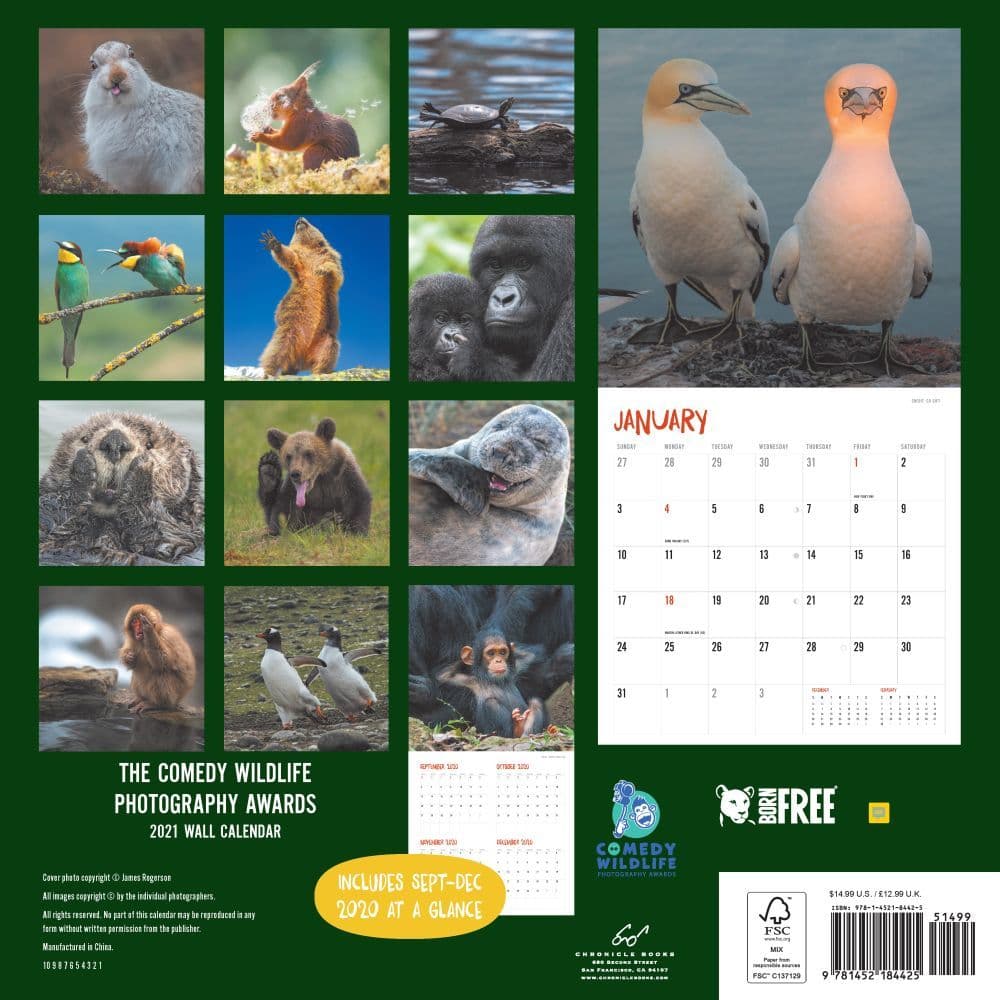 Comedy Wildlife Wall Calendar