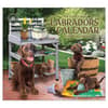 image Labradors 2025 Wall Calendar Main Product Image width=&quot;1000&quot; height=&quot;1000&quot;