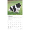image Newfoundlands 2025 Wall Calendar Second Alternate Image width=&quot;1000&quot; height=&quot;1000&quot;