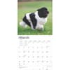 image Newfoundlands 2025 Wall Calendar Second Alternate Image width=&quot;1000&quot; height=&quot;1000&quot;