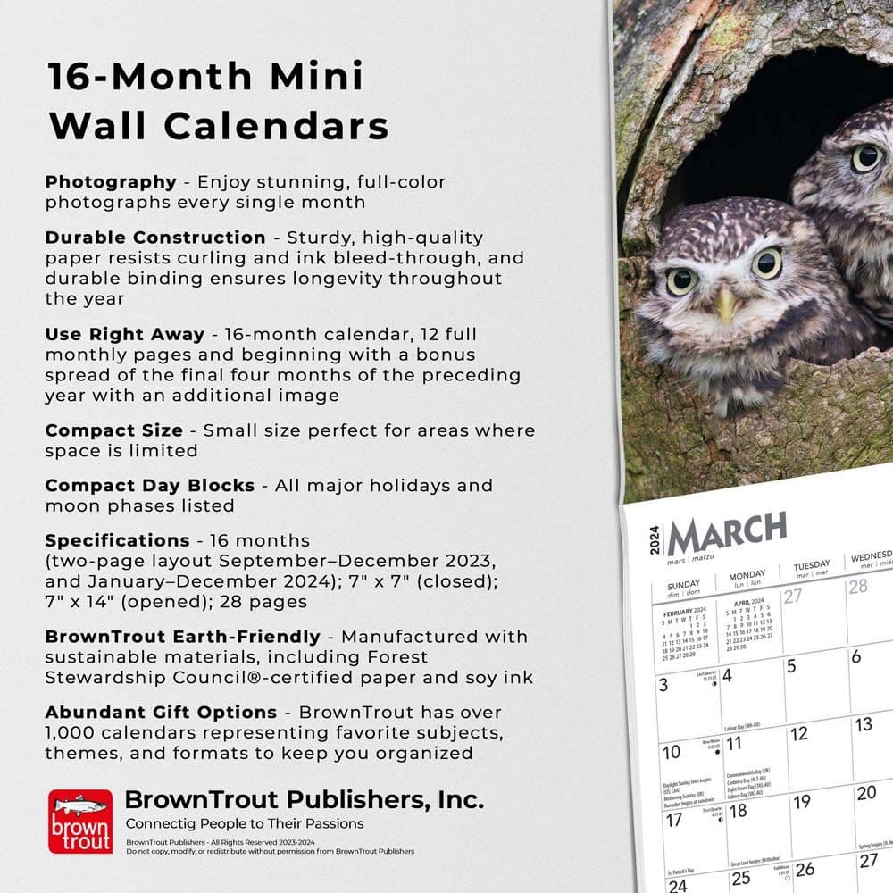 Owls 2024 Mini Wall Calendar Fourth Alternate Image width=&quot;1000&quot; height=&quot;1000&quot;