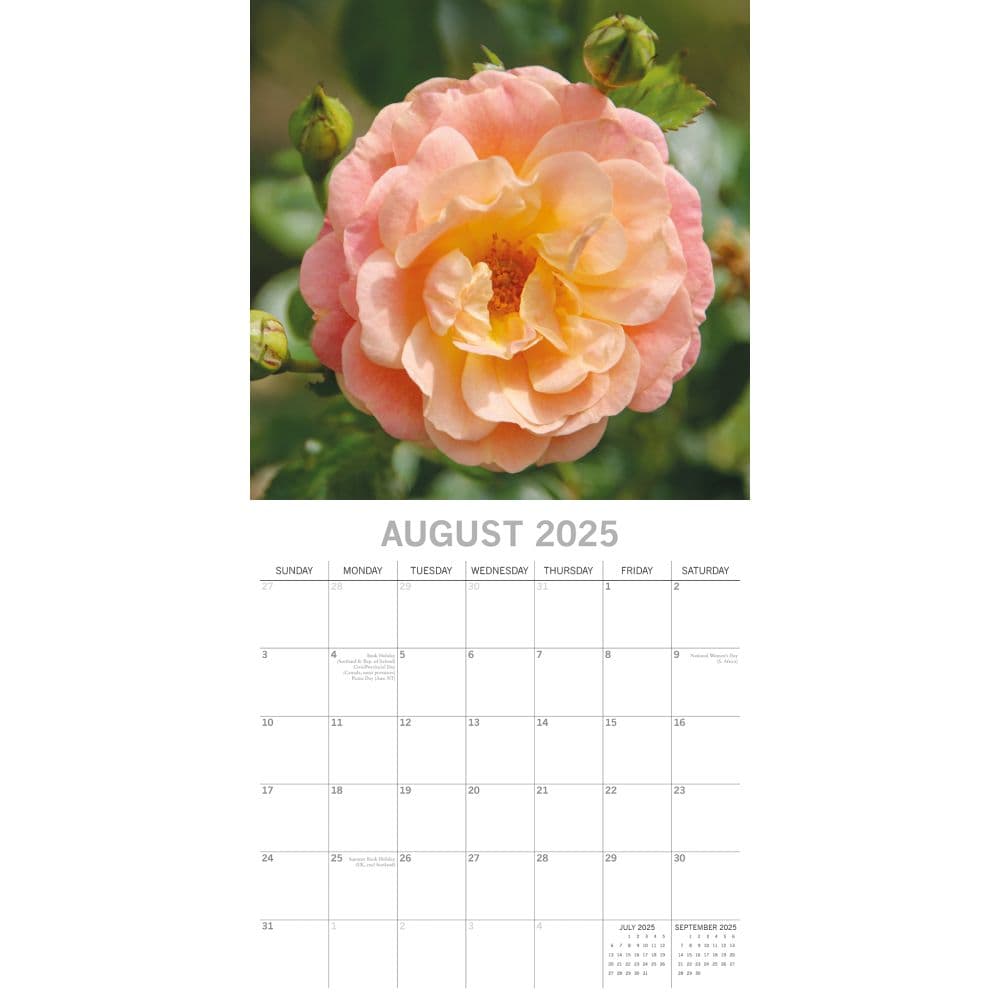 Beauty of Flowers 2025 Wall Calendar Third Alternate Image width=&quot;1000&quot; height=&quot;1000&quot;