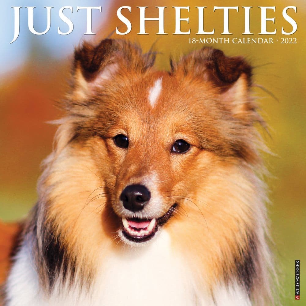 Shelties 2022 Wall Calendar