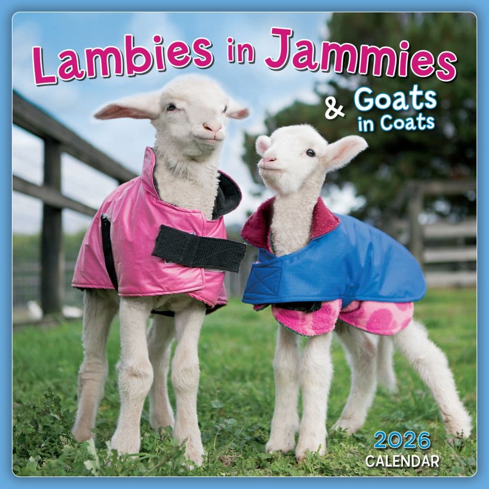 Lambies in Jammies 2026 Mini Wall Calendar_Main Image