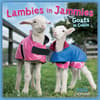 image Lambies in Jammies 2026 Mini Wall Calendar_Main Image