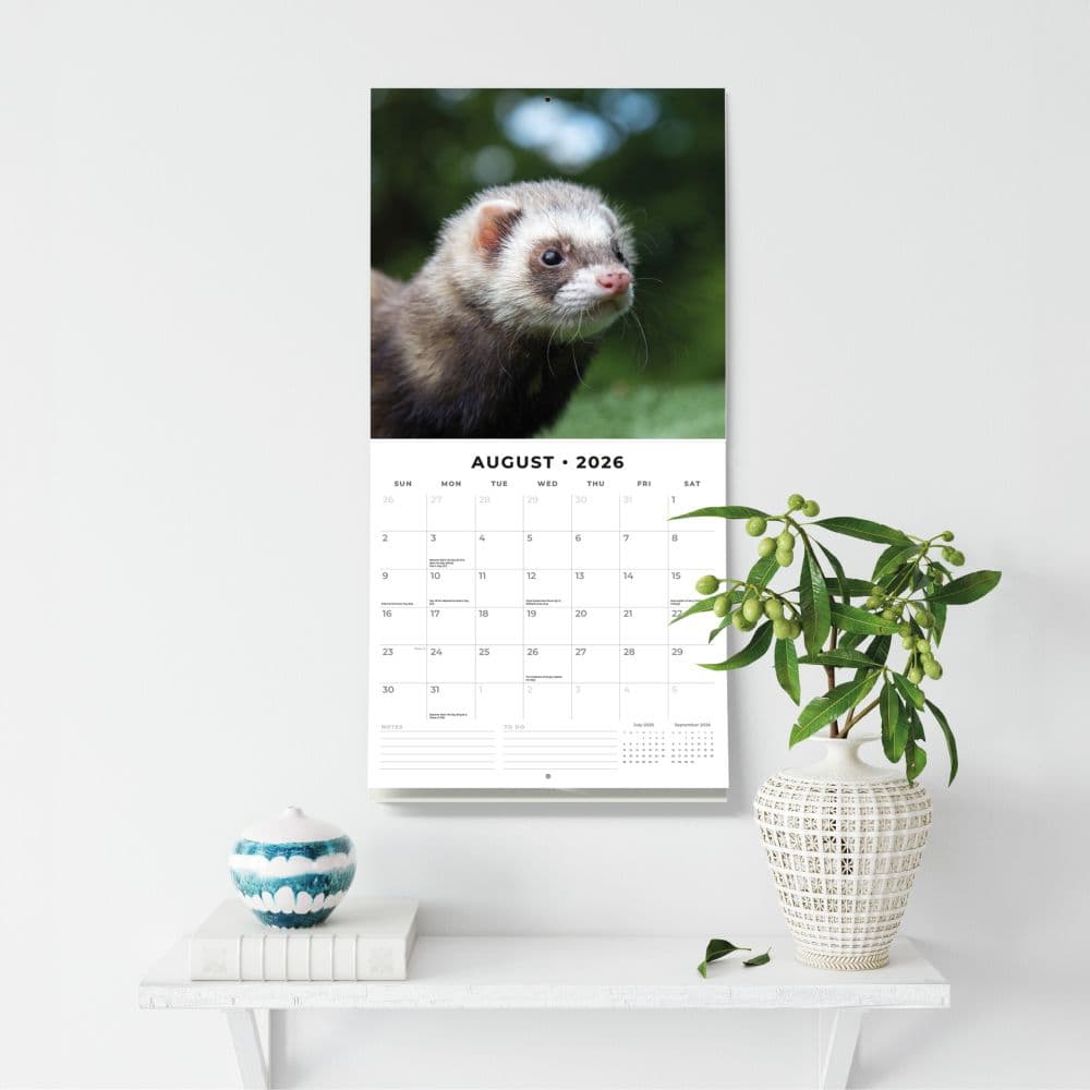 Ferrets 2026 Wall Calendar Third Alternate Image