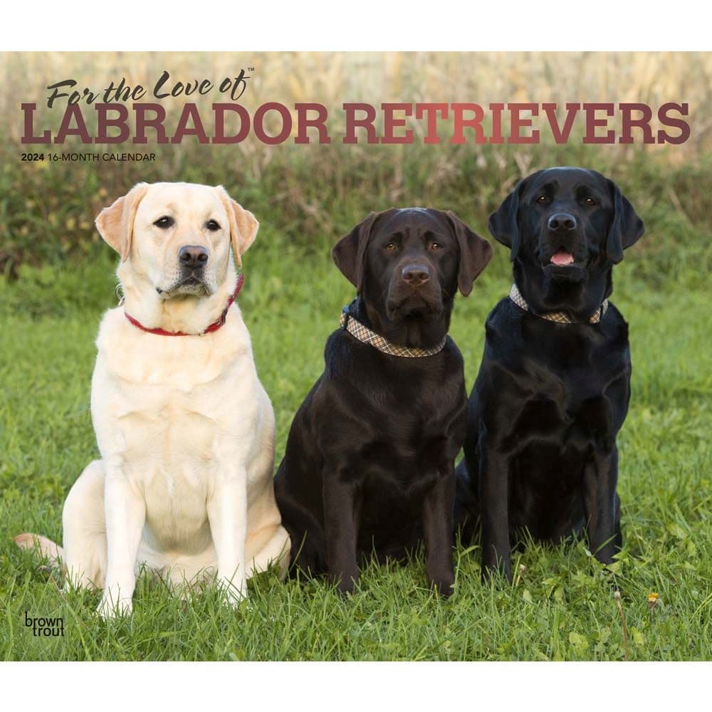 Lab Retriever Deluxe 2024 Wall Calendar - Calendars.com