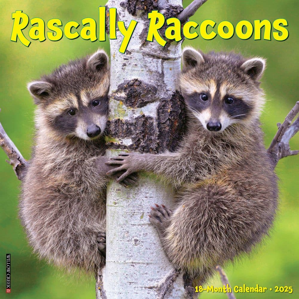 Rascally Raccoons 2025 Wall Calendar Main Product Image width=&quot;1000&quot; height=&quot;1000&quot;