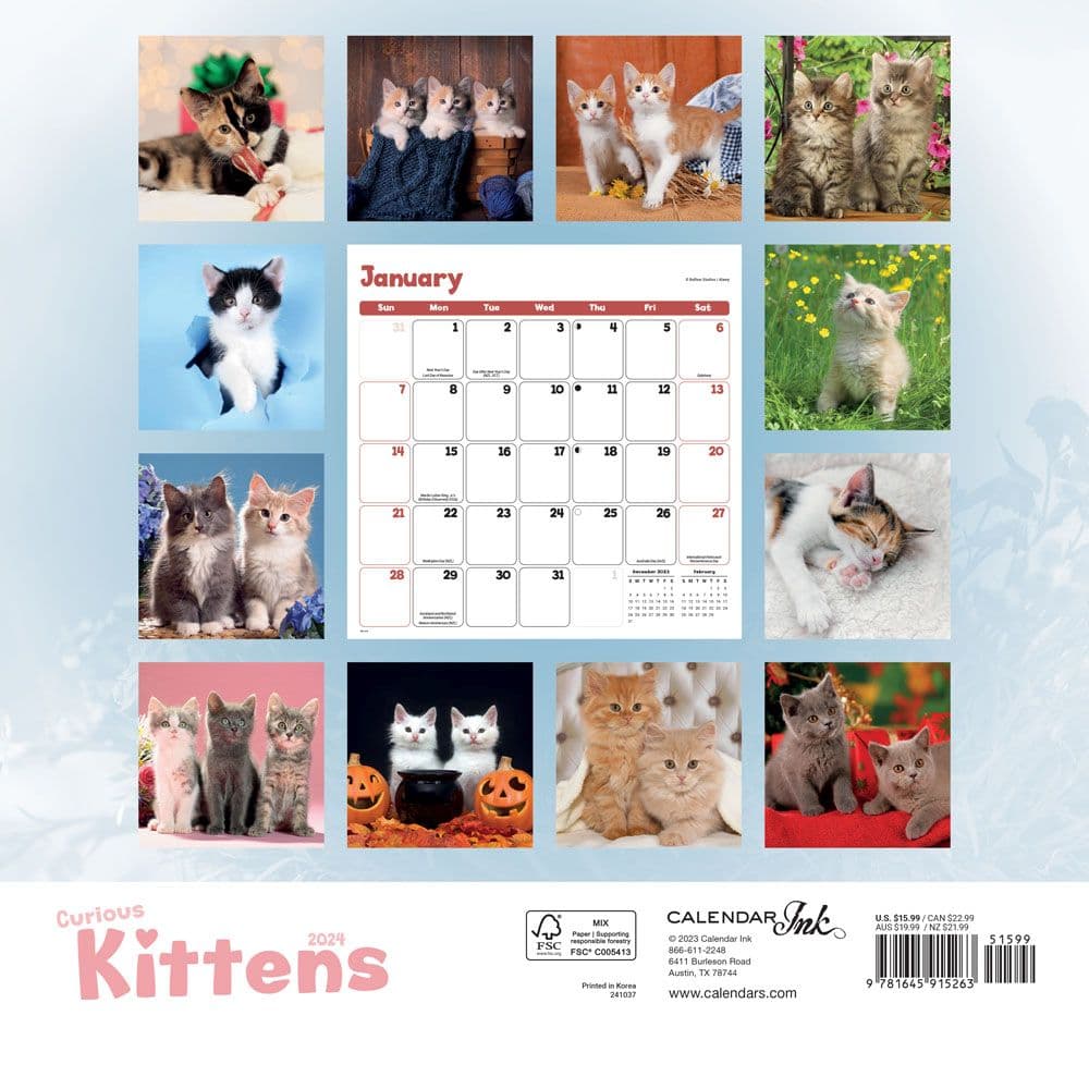 Kittens Curious 2024 Wall Calendar - Calendars.com