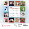 image Kittens Curious 2024 Wall Calendar First Alternate Image width=&quot;1000&quot; height=&quot;1000&quot;
