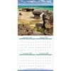 image Amazing Planet 2026 Wall Calendar_ALT2