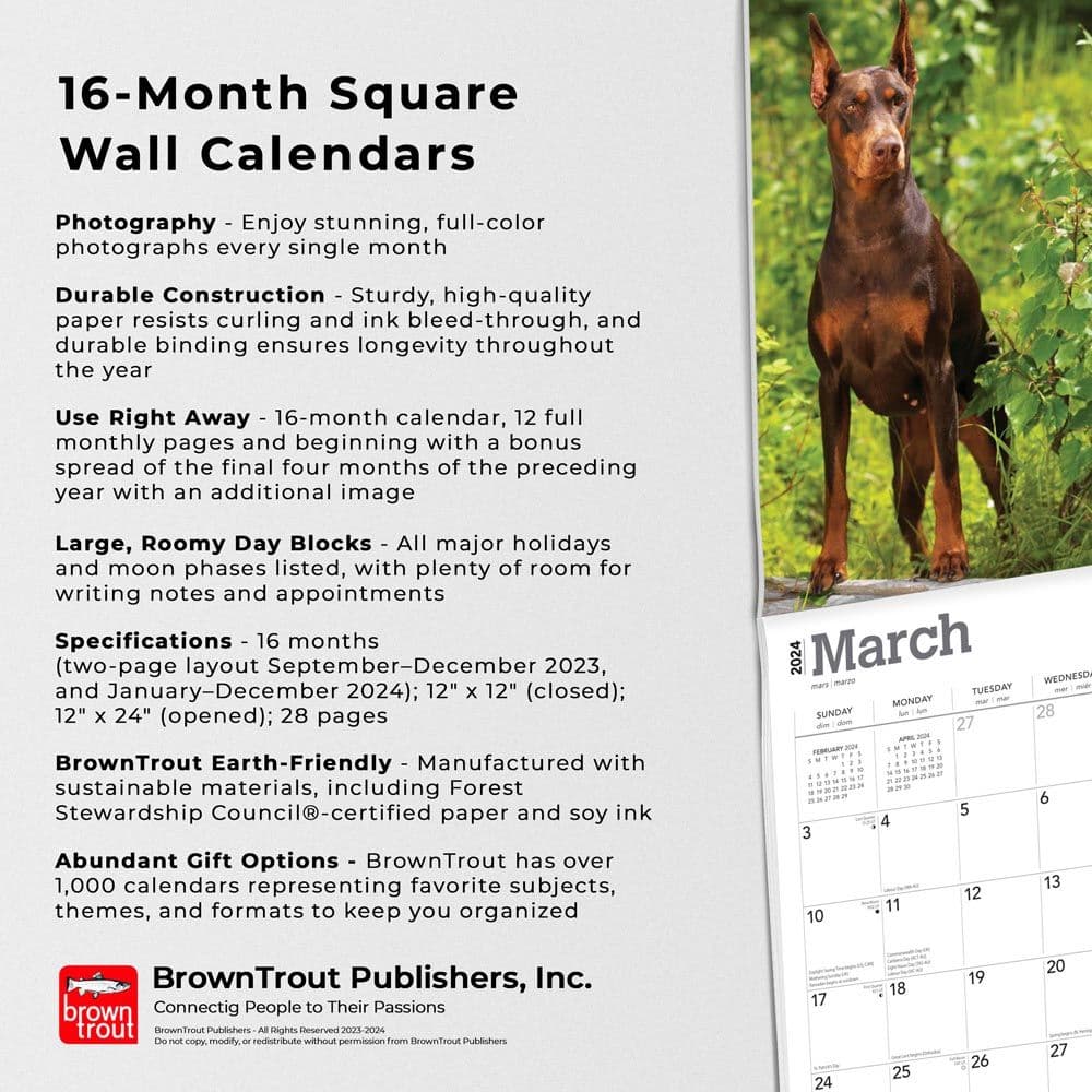 Dobermans 2024 Wall Calendar