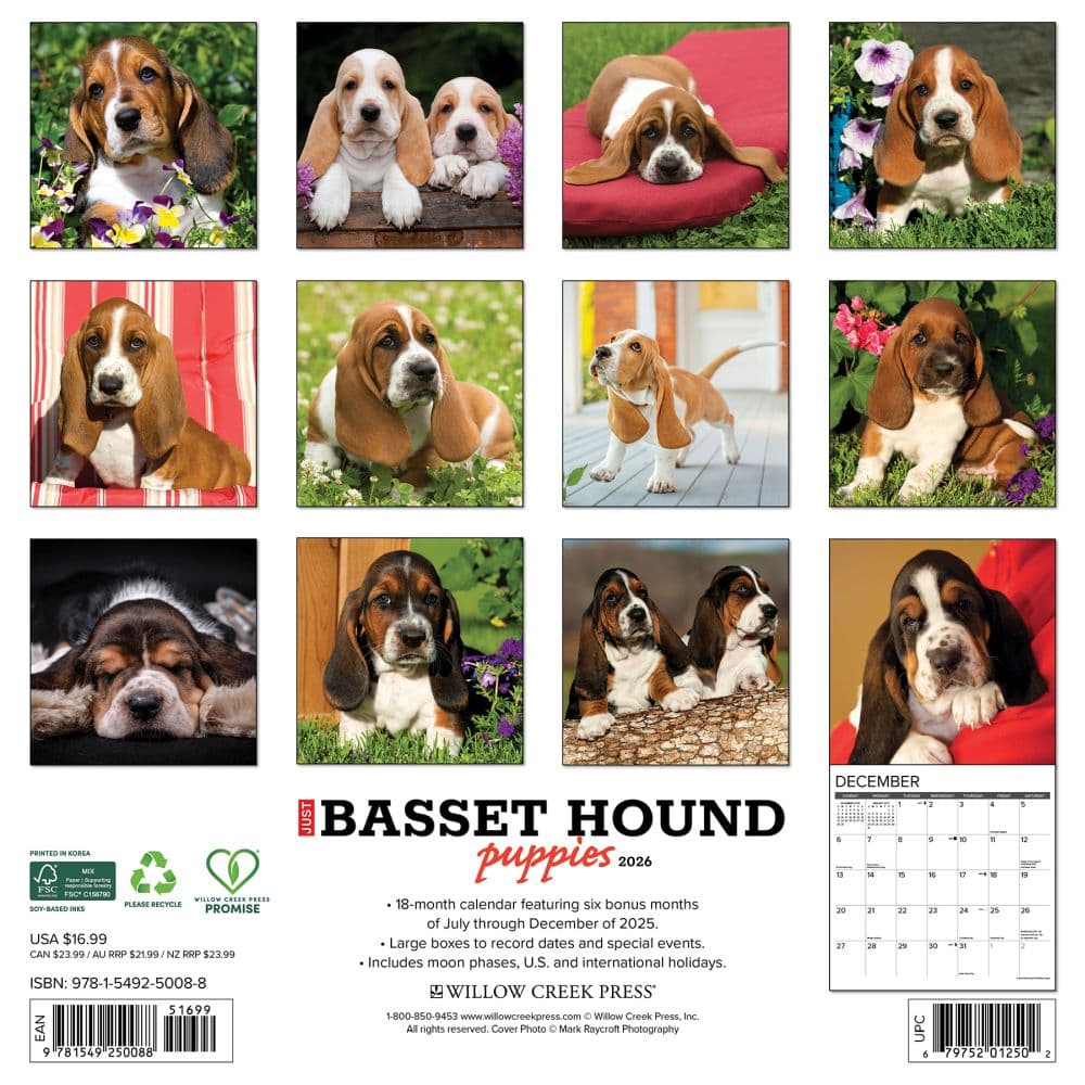 Just Basset Hound Puppies 2026 Wall Calendar First Alternate Image