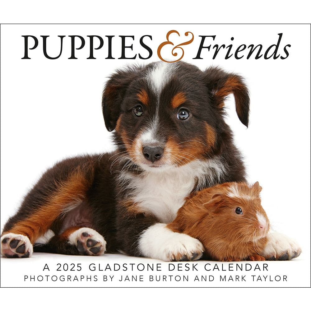 Puppies and Friends 2025 Desk Calendar Fifth Alternate Image width="1000" height="1000"