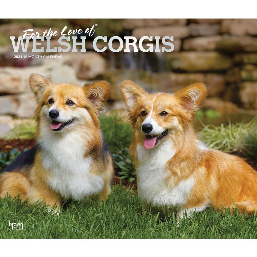 Welsh Corgis Wall Calendar