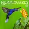 image Hummingbirds 2024 Mini Wall Calendar