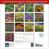 image Wildflowers 2025 Wall Calendar First Alternate Image width=&quot;1000&quot; height=&quot;1000&quot;