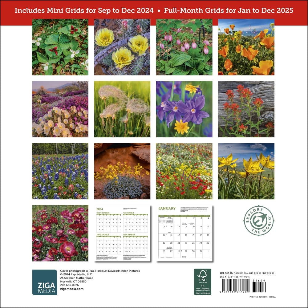 Creative Arts Wildflowers Mini Calendar 2025 Norma Lynsey