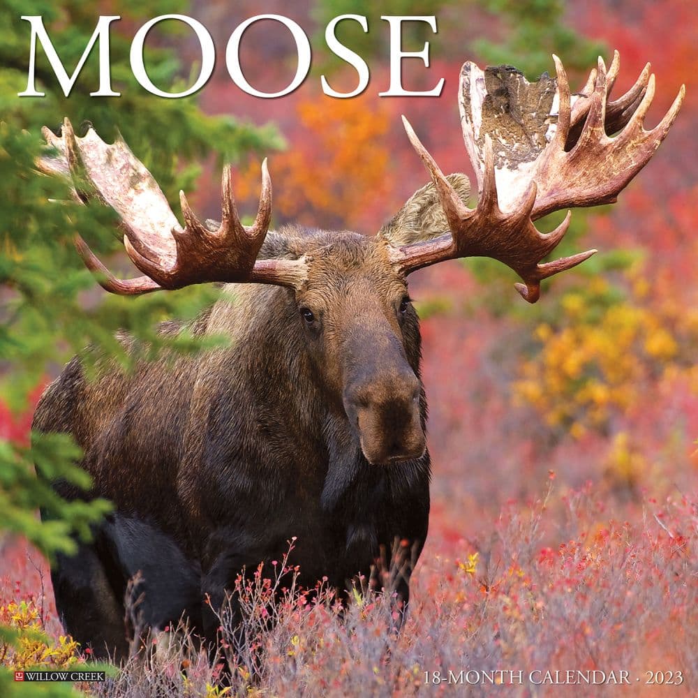 Moose 2023 Wall Calendar