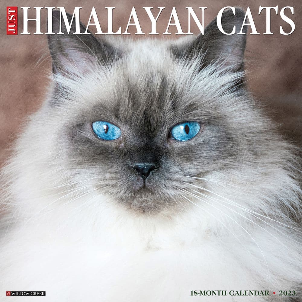 Willow Creek Press Himalayan Cats 2023 Wall Calendar