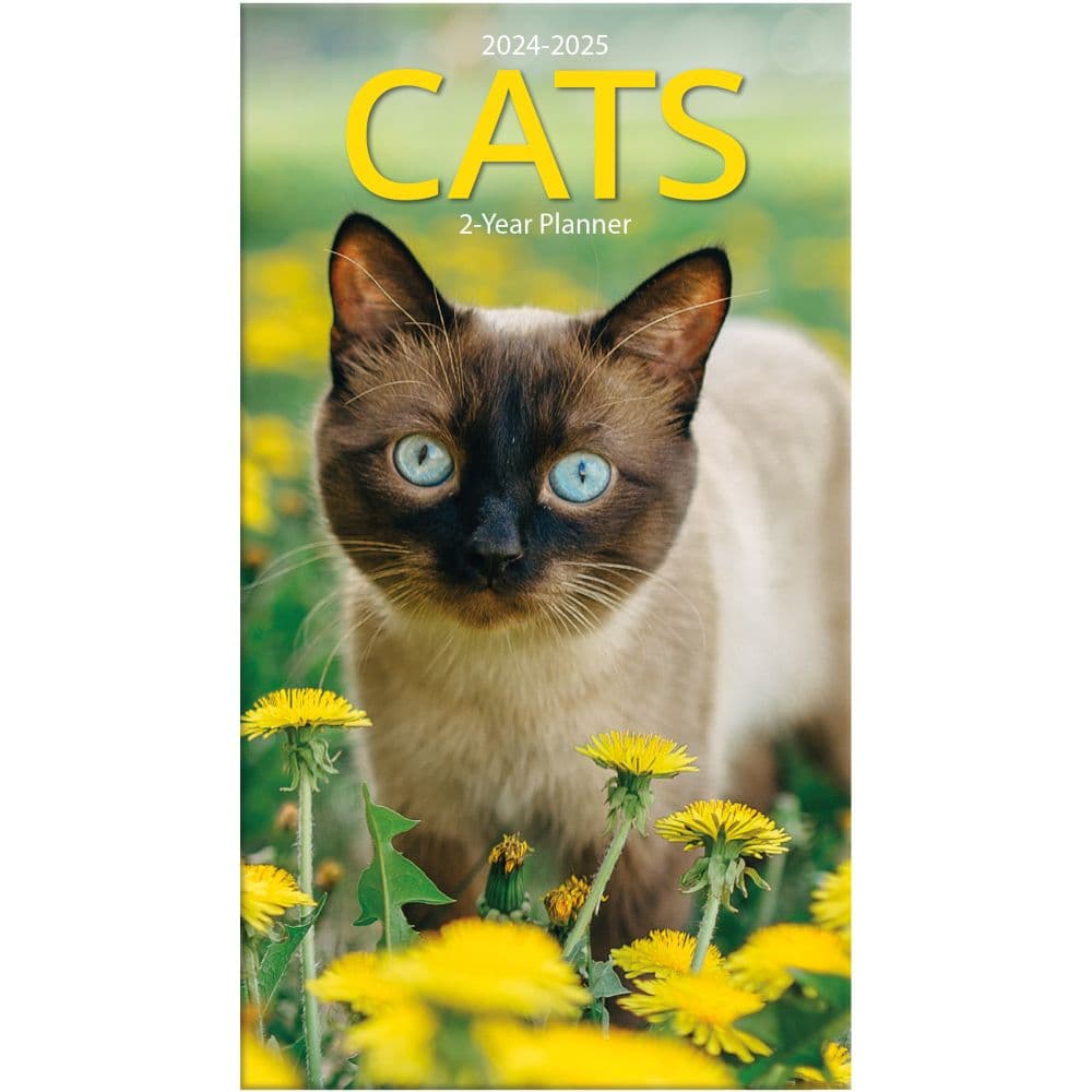 Easterseals 2025 Calendar Modern Present Updated
