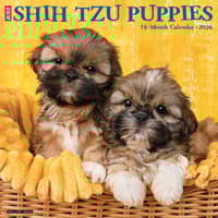 image Just Shih Tzu Puppies 2026 Wall Calendar Main Image