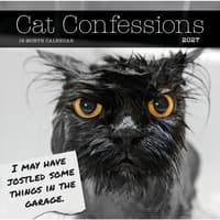 image Cat Confessions 2027 Wall Calendar Main Image