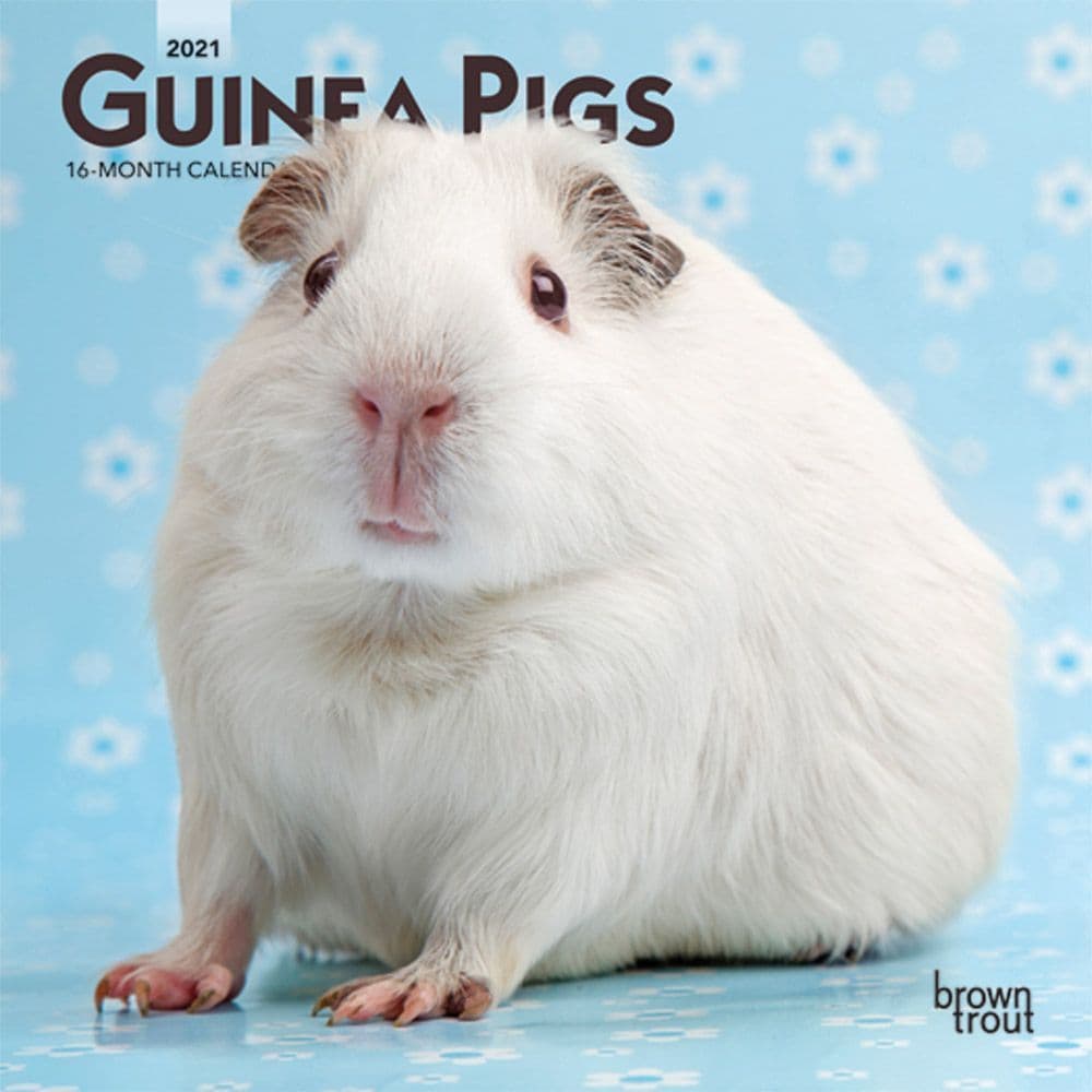 Guinea Pigs Mini Calendar