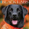 image Just Black Labs 2026 Wall Calendar Main Image