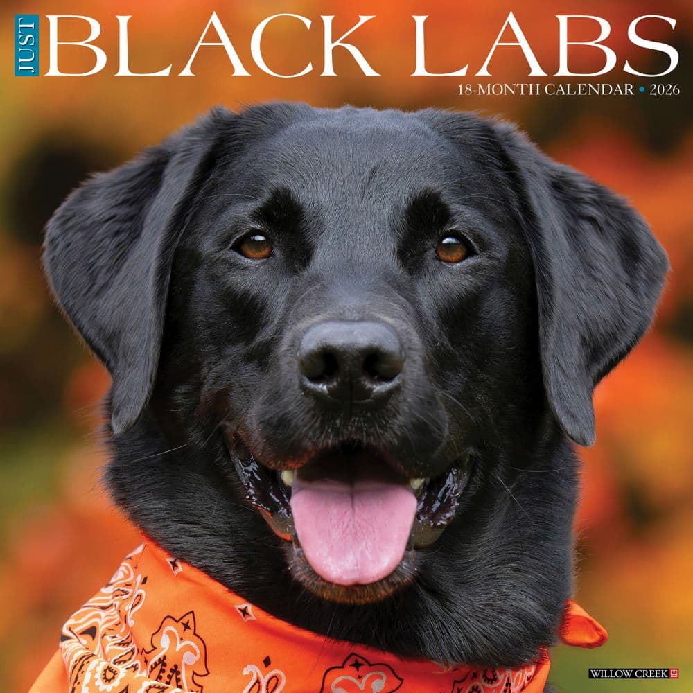 Just Black Labs 2026 Wall Calendar Main Image