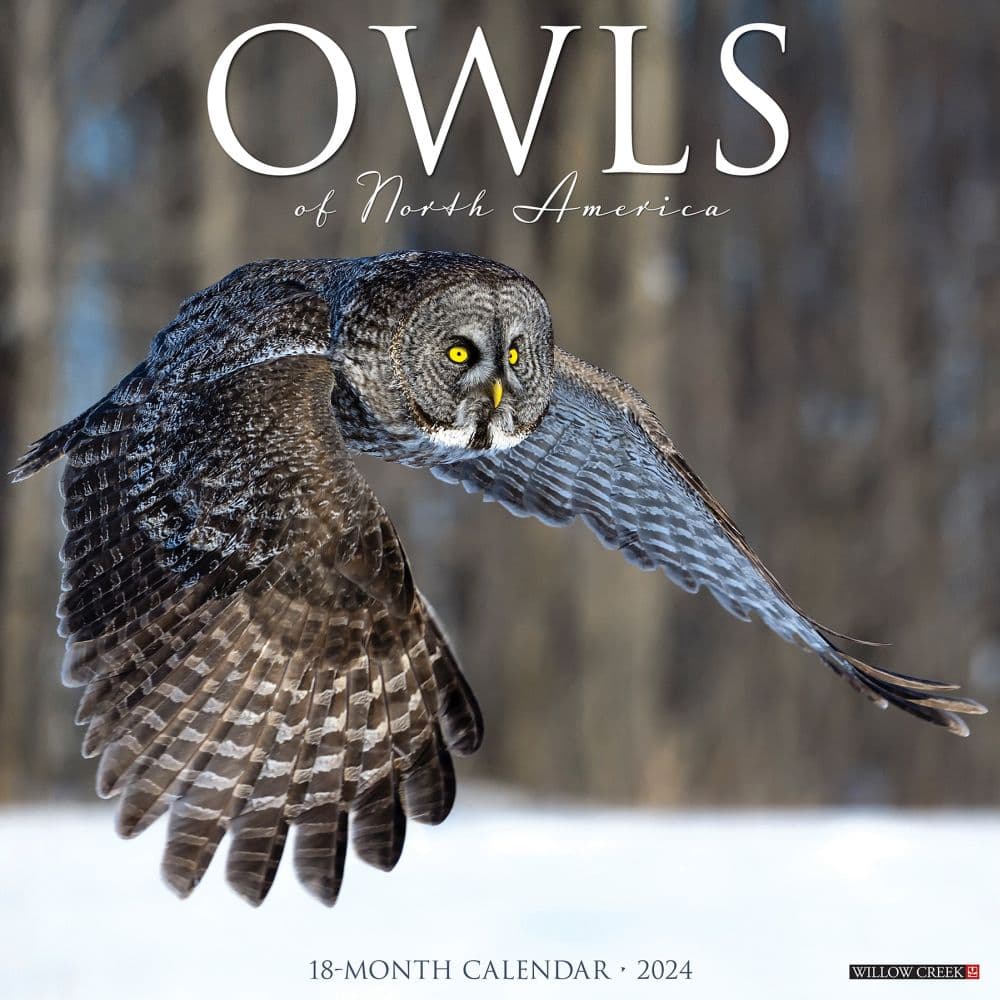 Owls 2024 Wall Calendar Calendars Com   72474632 9944 4414 95fe D17f7bebb36e