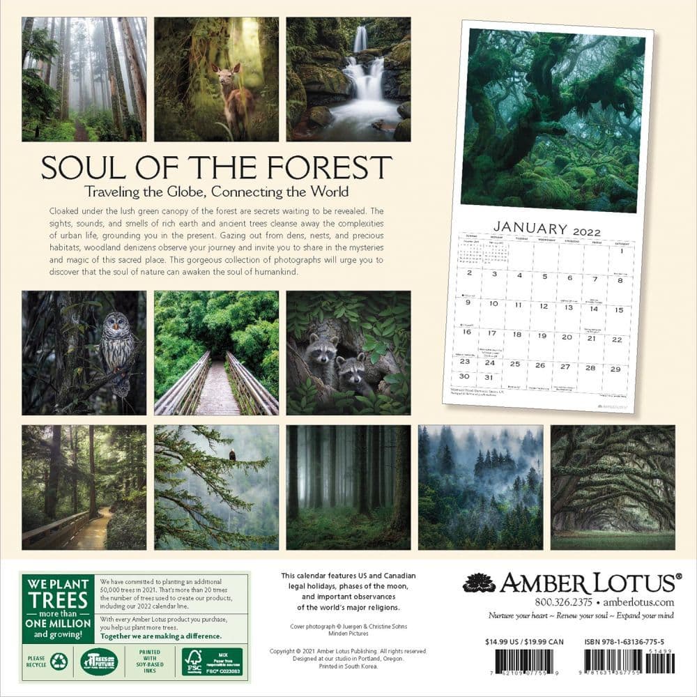 Soul Of The Forest 2022 Wall Calendar - Calendars.com