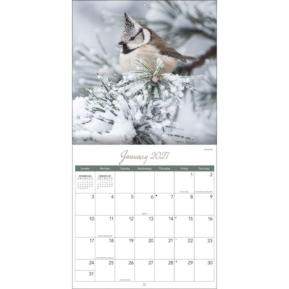 Songbirds 2027 Wall Calendar Third Alternate Image