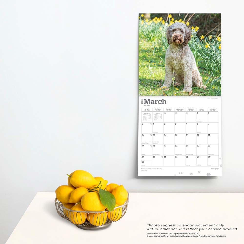 Cockapoos 2024 Wall Calendar