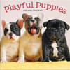 image Playful Puppies 2026 Wall Calendar_Main Image