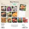 image Magic Mushrooms 2025 Wall Calendar First Alternate Image